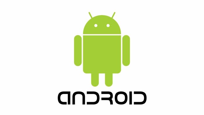 Samsung smartphone android