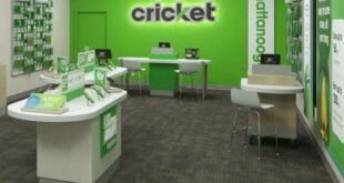 Cricket smartphones