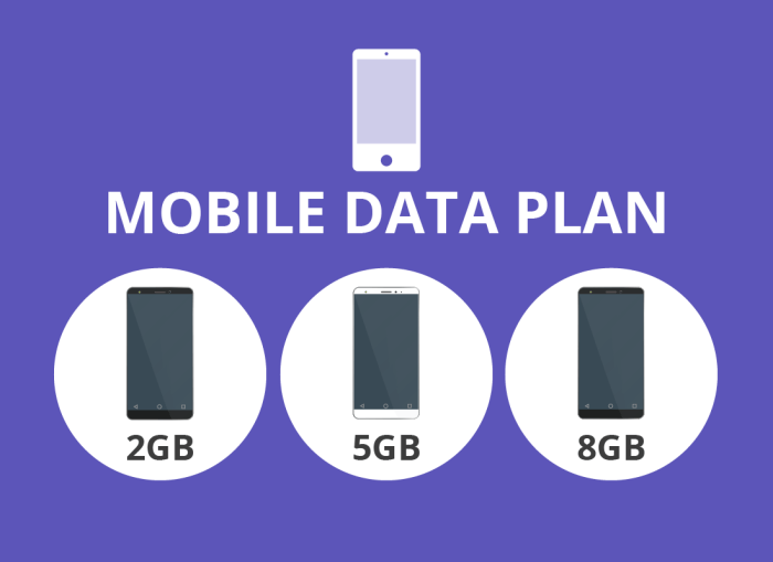 Data plans for smartphones