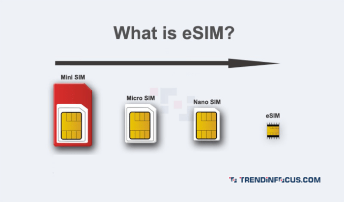 Smartphone esim