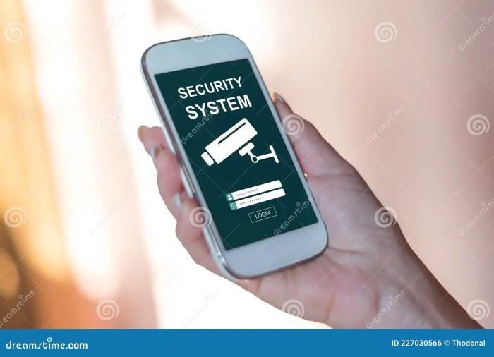 Smartphone security system