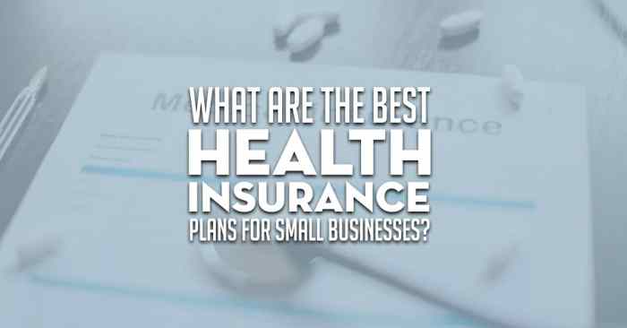 Small insurance health business group teresa myers november comments plans