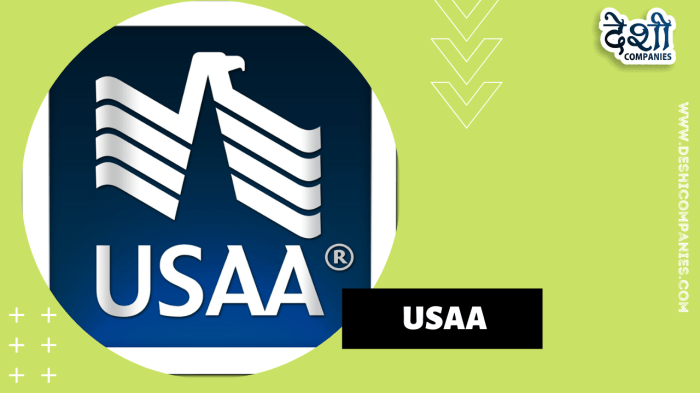 Usaa bundle insurance