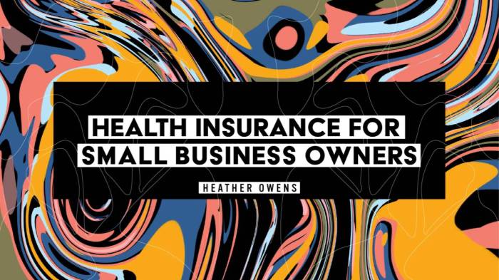 Idaho small business health insurance