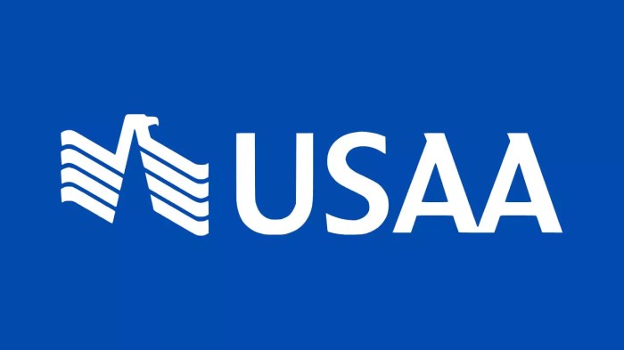 Usaa llc insurance