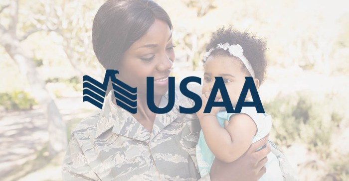 Usaa llc insurance